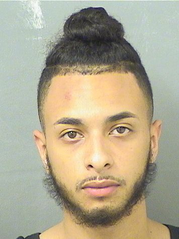  ALEX DAMIAN CORREA MASSA Results from Palm Beach County Florida for  ALEX DAMIAN CORREA MASSA