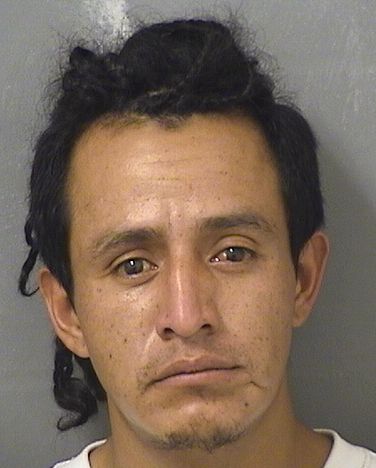  ANGEL D LOPEZ VASQUEZ Results from Palm Beach County Florida for  ANGEL D LOPEZ VASQUEZ