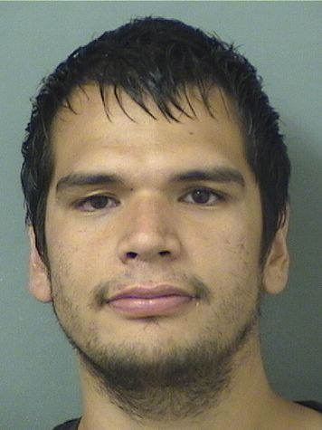  THEO HALL Results from Palm Beach County Florida for  THEO HALL