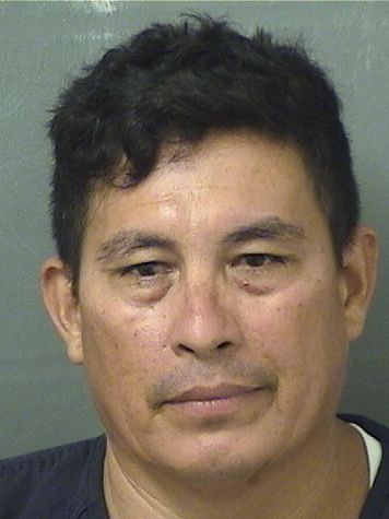  DANIEL DEJESUS OVALLEPELAEZ Results from Palm Beach County Florida for  DANIEL DEJESUS OVALLEPELAEZ