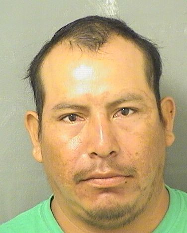 FRANCISCO RAMIREZLOPEZ resultados de la busqueda para Palm Beach County Florida para FRANCISCO RAMIREZLOPEZ FRANCISCO RAMIREZLOPEZ Resultados de la busqueda para Palm Beach County Florida para FRANCISCO RAMIREZLOPEZ