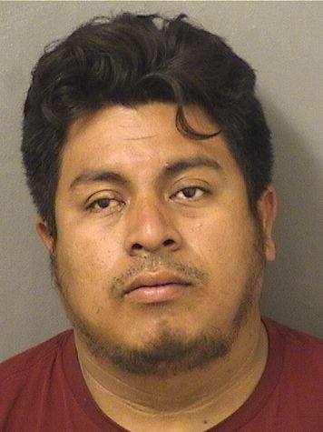 BERNER HERNANDEZ Results from Palm Beach County Florida for BERNER HERNANDEZ BERNER HERNANDEZ Results from Palm Beach County Florida for BERNER HERNANDEZ