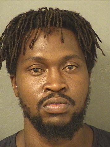  CHRISTIAN ALEXANDER DEVEAUX Results from Palm Beach County Florida for  CHRISTIAN ALEXANDER DEVEAUX