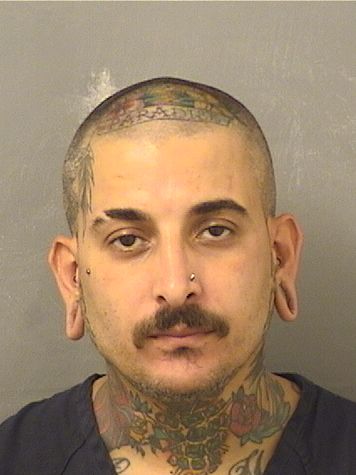  THIAGO SANDRONI Photo For  THIAGO SANDRONI