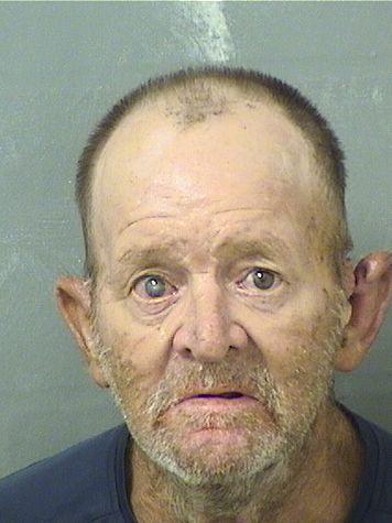  KEVIN PATRICK BRONSON Results from Palm Beach County Florida for  KEVIN PATRICK BRONSON