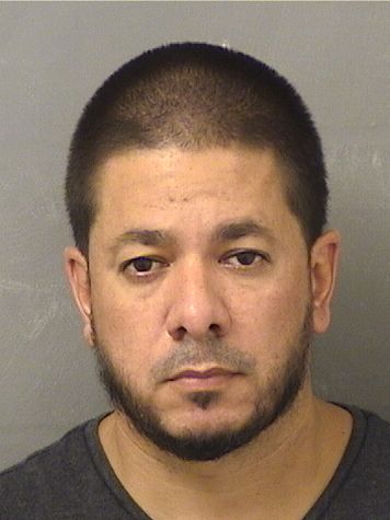  MICHAEL JASHUA QUILES Results from Palm Beach County Florida for  MICHAEL JASHUA QUILES