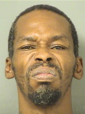  DAVID EDGAR YOUNG Results from Palm Beach County Florida for  DAVID EDGAR YOUNG