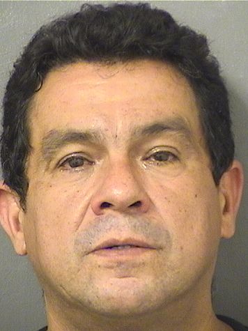  RONNEY ALFREDO BUSCH Resultados de la busqueda para Palm Beach County Florida para  RONNEY ALFREDO BUSCH