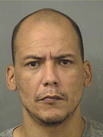  KELVIN R CARREROSAGARDIA Resultados de la busqueda para Palm Beach County Florida para  KELVIN R CARREROSAGARDIA