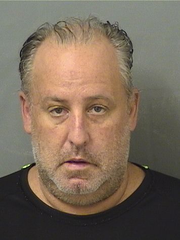  ANDRE ANGELO ADRIANO PUGLIESE Results from Palm Beach County Florida for  ANDRE ANGELO ADRIANO PUGLIESE