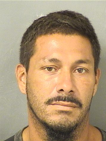  JOE DAVID SALINAS Results from Palm Beach County Florida for  JOE DAVID SALINAS