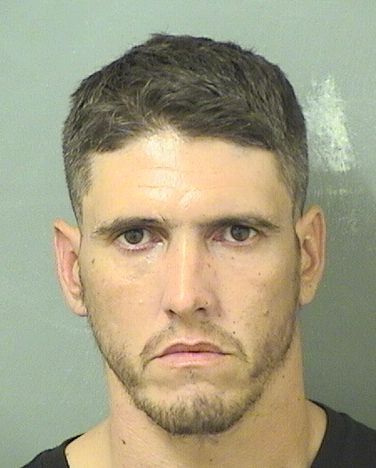  MICHAEL A PERERIA Results from Palm Beach County Florida for  MICHAEL A PERERIA