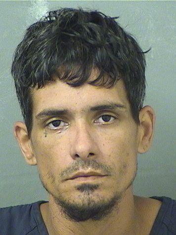  JORGE LUIS APONTESANTIAGO Results from Palm Beach County Florida for  JORGE LUIS APONTESANTIAGO