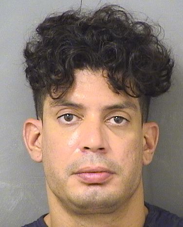  JOSE MANUEL GOYOS Results from Palm Beach County Florida for  JOSE MANUEL GOYOS