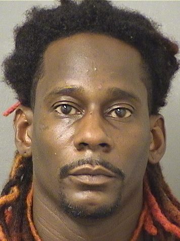  MICHAEL ANTONIOLESLIE CAMERON Results from Palm Beach County Florida for  MICHAEL ANTONIOLESLIE CAMERON