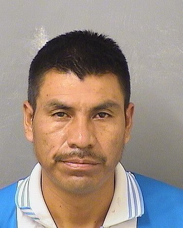  JORGE MARTIN CINTO Results from Palm Beach County Florida for  JORGE MARTIN CINTO