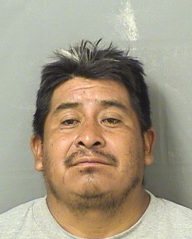  MANUEL R GASPAR Results from Palm Beach County Florida for  MANUEL R GASPAR