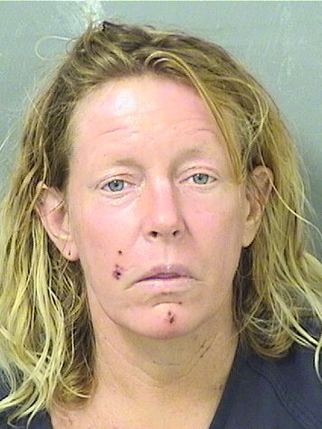  AMY HAND Results from Palm Beach County Florida for  AMY HAND