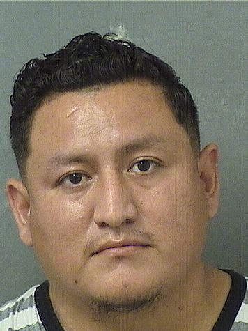  STERLING CONDORI Resultados de la busqueda para Palm Beach County Florida para  STERLING CONDORI