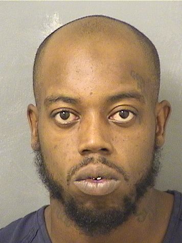  LAMICHAEL CHRISTIAN WILLIAMS Results from Palm Beach County Florida for  LAMICHAEL CHRISTIAN WILLIAMS