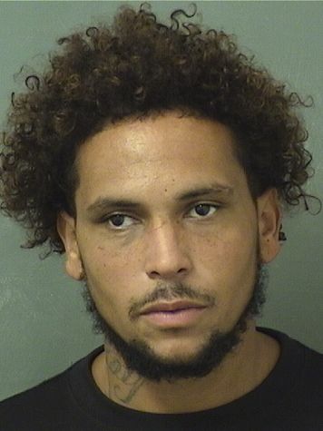  DEONDRE A BROWN Resultados de la busqueda para Palm Beach County Florida para  DEONDRE A BROWN