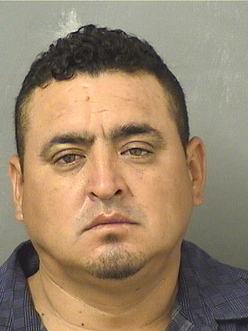  JUAN MARIA VIANNEY VELAZQUEZ Resultados de la busqueda para Palm Beach County Florida para  JUAN MARIA VIANNEY VELAZQUEZ