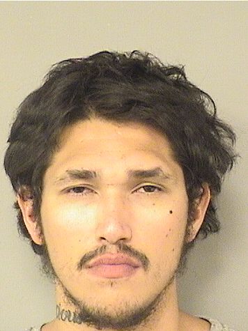  ADRIAN JAMES RIVERA Results from Palm Beach County Florida for  ADRIAN JAMES RIVERA