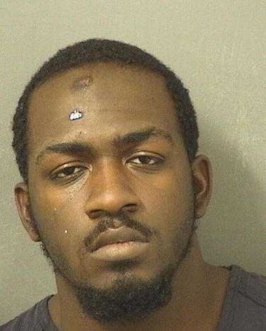  ALONZO DEANTEE J SMITH Results from Palm Beach County Florida for  ALONZO DEANTEE J SMITH
