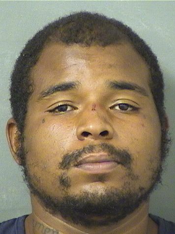  COREY CORNEL NORFUS Resultados de la busqueda para Palm Beach County Florida para  COREY CORNEL NORFUS