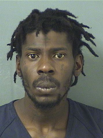  STEVEN ROMEUS Results from Palm Beach County Florida for  STEVEN ROMEUS