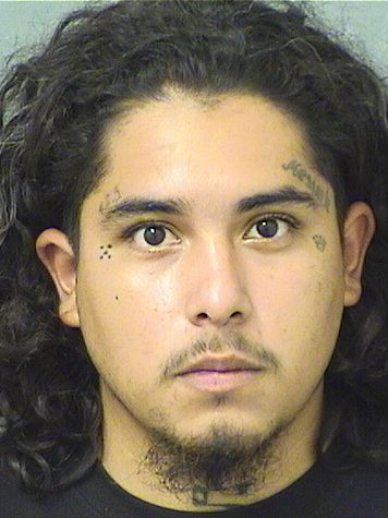  GERALDO E GONZALEZ Resultados de la busqueda para Palm Beach County Florida para  GERALDO E GONZALEZ