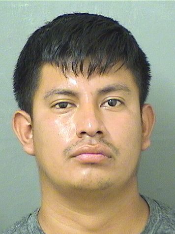  MILTON HERNANDEZ Results from Palm Beach County Florida for  MILTON HERNANDEZ