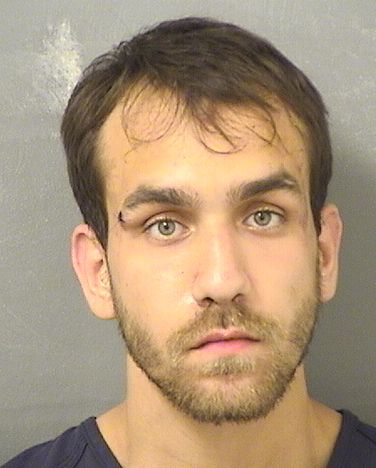  JOSEPH SALVATORE MAZZELLA Results from Palm Beach County Florida for  JOSEPH SALVATORE MAZZELLA