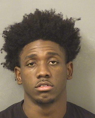  TERRENCE ANTHONY DENSON Results from Palm Beach County Florida for  TERRENCE ANTHONY DENSON