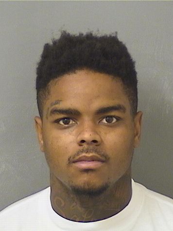  ALFRED RICARDO BROWN Results from Palm Beach County Florida for  ALFRED RICARDO BROWN