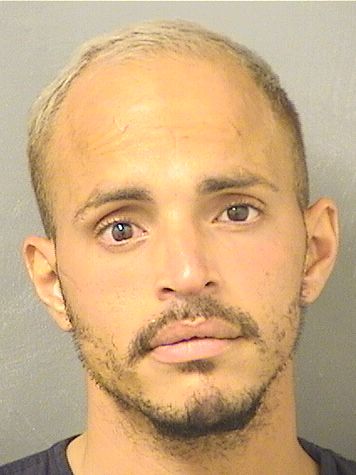  LUIS GABRIEL RIVERAVARGAS Results from Palm Beach County Florida for  LUIS GABRIEL RIVERAVARGAS