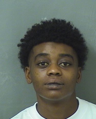  JASMINE NICOLE JORDAN Resultados de la busqueda para Palm Beach County Florida para  JASMINE NICOLE JORDAN