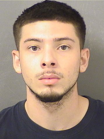  DANIEL ISAIAH DEIGHANGUERRA Results from Palm Beach County Florida for  DANIEL ISAIAH DEIGHANGUERRA