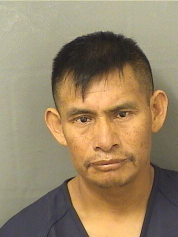  LUIS LAURIANO FRANCISCO Results from Palm Beach County Florida for  LUIS LAURIANO FRANCISCO