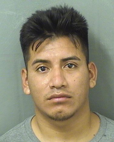 UBER GARCIAMATA Results from Palm Beach County Florida for UBER GARCIAMATA UBER GARCIAMATA Results from Palm Beach County Florida for UBER GARCIAMATA