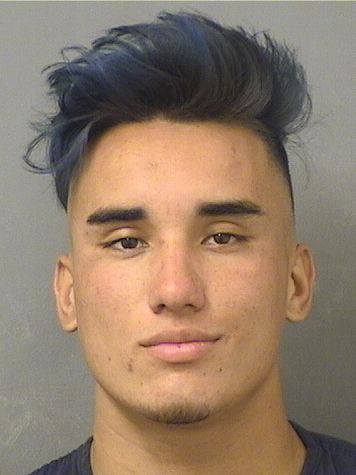  JUAN B HERNANDEZ Results from Palm Beach County Florida for  JUAN B HERNANDEZ