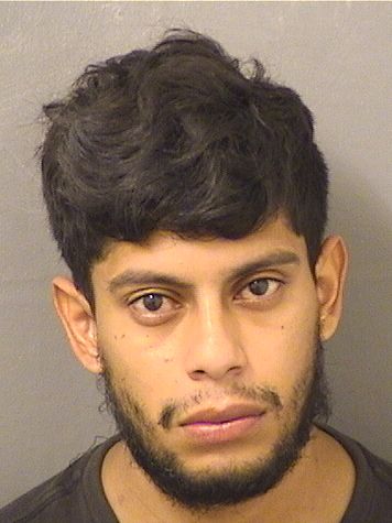  ALEX ALVIZUREZHERNANDEZ Results from Palm Beach County Florida for  ALEX ALVIZUREZHERNANDEZ