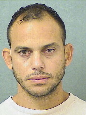  MAIKEL PENAHIDALGO Results from Palm Beach County Florida for  MAIKEL PENAHIDALGO