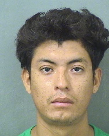  MARBIN S HERNANDEZ Resultados de la busqueda para Palm Beach County Florida para  MARBIN S HERNANDEZ