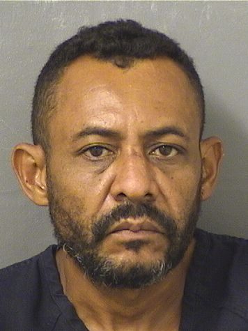  JOSE DEYVIS HERNANDEZMADRID Results from Palm Beach County Florida for  JOSE DEYVIS HERNANDEZMADRID