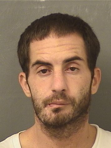  MATTHEW H ROSENHOUSE Results from Palm Beach County Florida for  MATTHEW H ROSENHOUSE