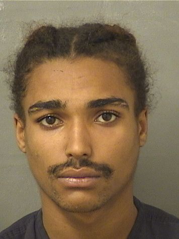  MICHAEL KELVIN Jr WATTS Results from Palm Beach County Florida for  MICHAEL KELVIN Jr WATTS