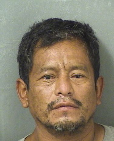  JOSE GOMEZ Results from Palm Beach County Florida for  JOSE GOMEZ