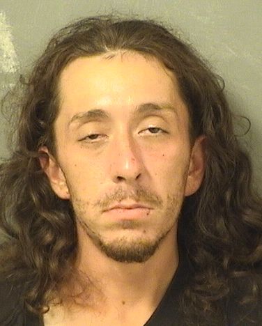  JOHN LUIGI CANDELA Results from Palm Beach County Florida for  JOHN LUIGI CANDELA