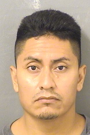  PABLO MARCELO MENCHUGARCIA Results from Palm Beach County Florida for  PABLO MARCELO MENCHUGARCIA